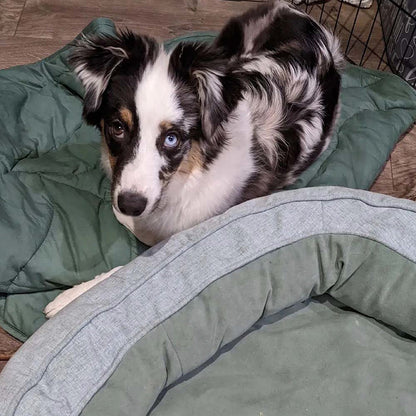 Rynx | Leaf-shaped Dog Blanket With Donut Dog Bed Luxury Dog Gifts