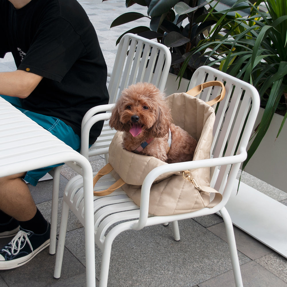 RYNX | Fashion Portable Expandable Car Pet Bag