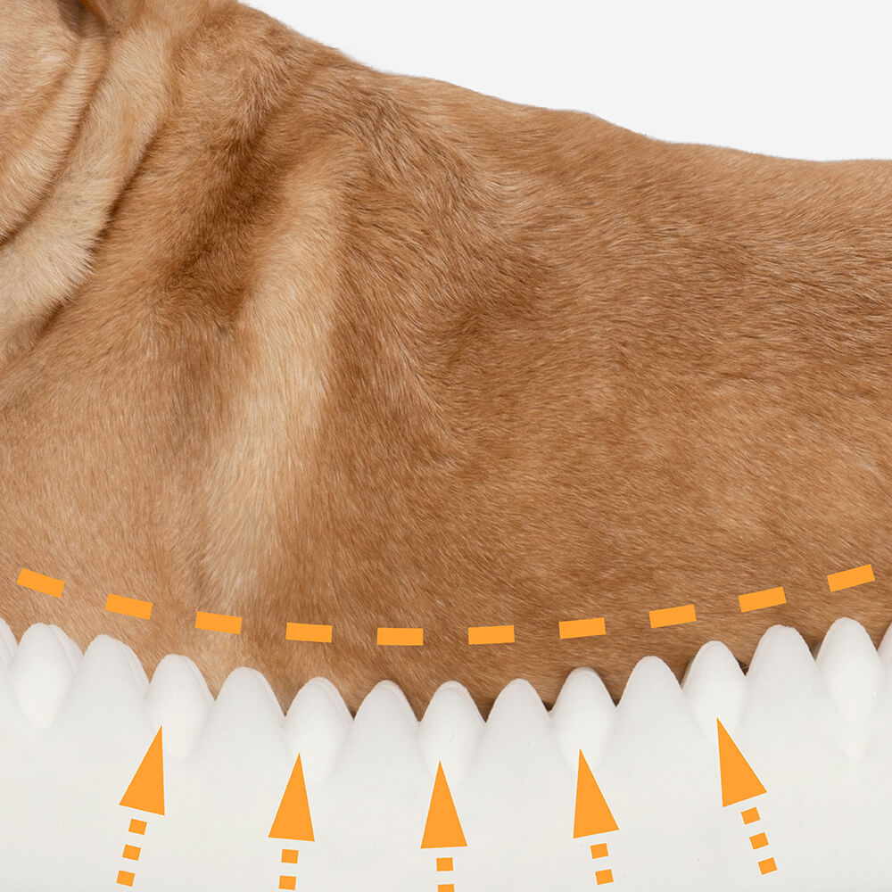 RYNX | Orthopedic Dog Bed
