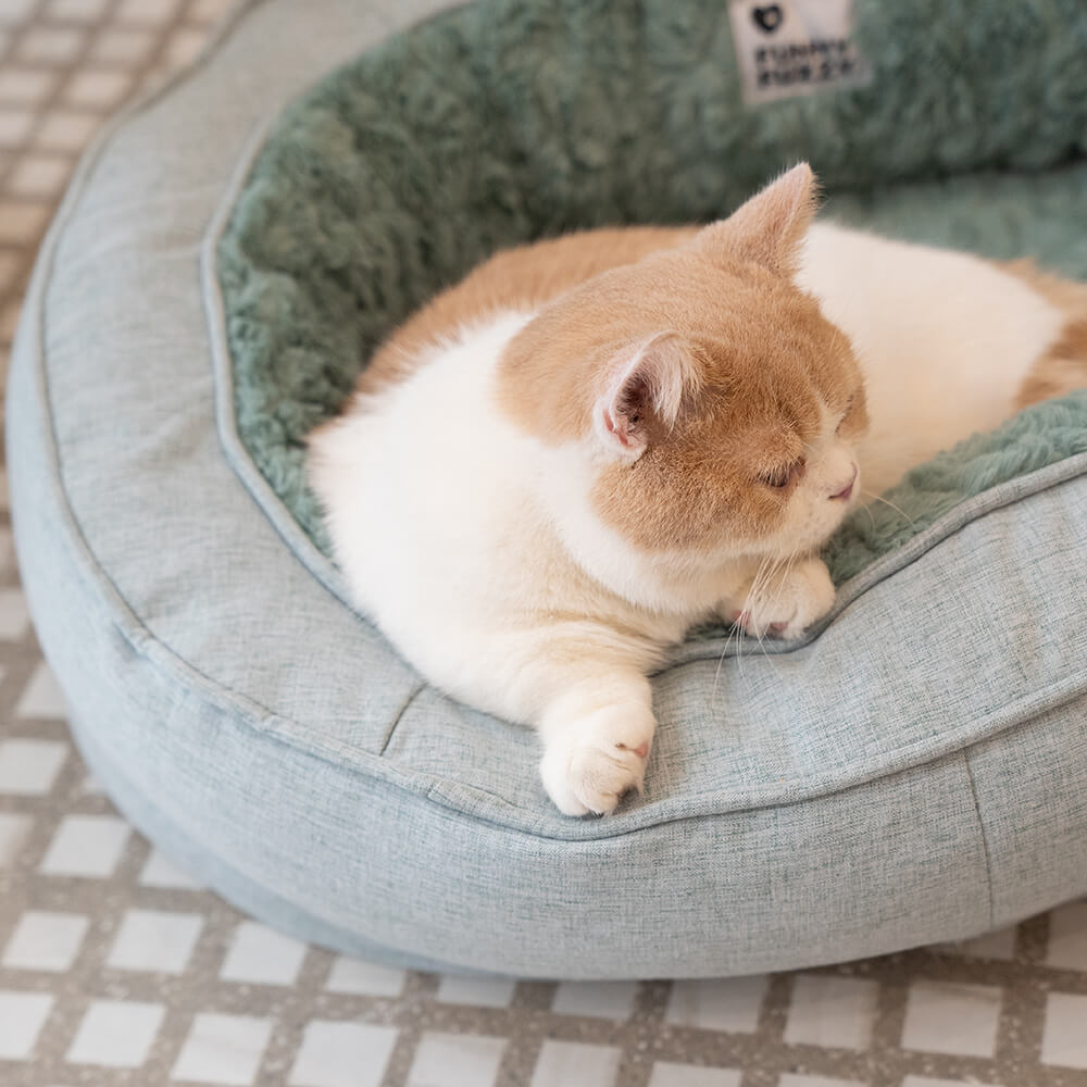 RYNX | Orthopedic Dog Bed
