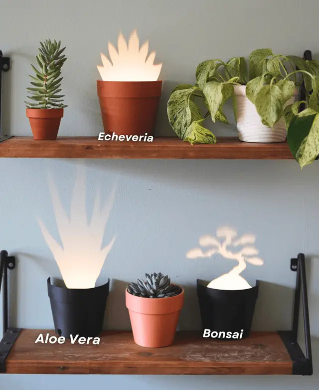Rynx | Garden-Graveyard-Plant Pot with LED Light Projection