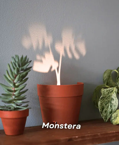 Rynx | Garden-Graveyard-Plant Pot with LED Light Projection