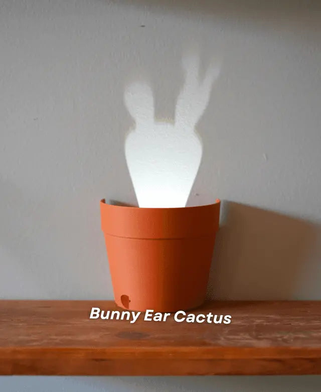 Rynx | Garden-Graveyard-Plant Pot with LED Light Projection
