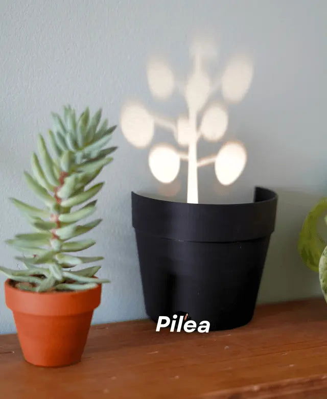 Rynx | Garden-Graveyard-Plant Pot with LED Light Projection