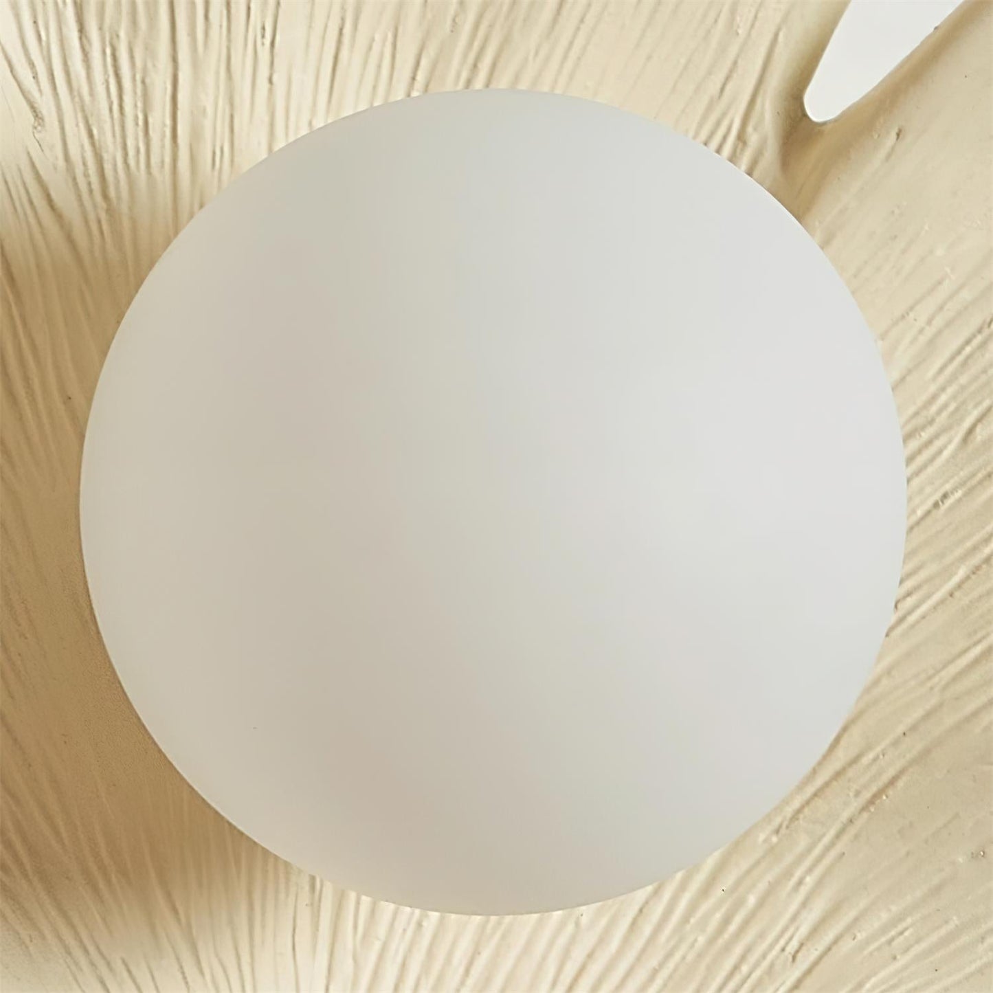 Rynx | Ginkgo Leaf Wall Lamp