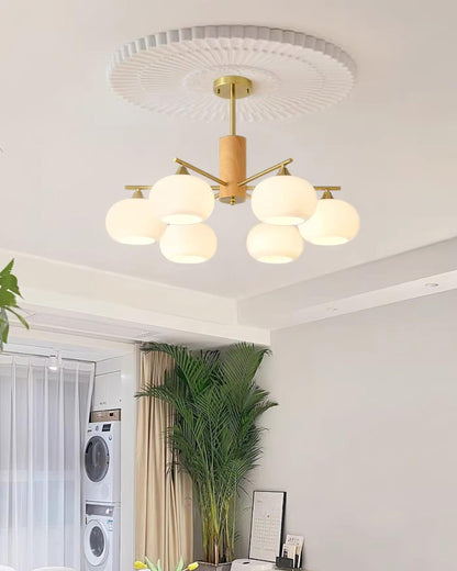 Rynx | Gino Glass Chandeliers