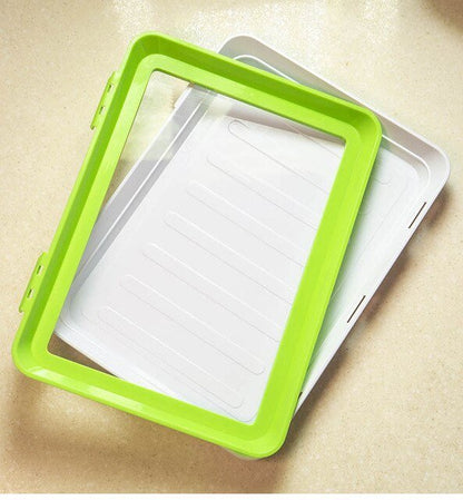 Rynx | Plate - Keep Your Food Fresh - Sustainable Innovation - Practicality in Everyday Life