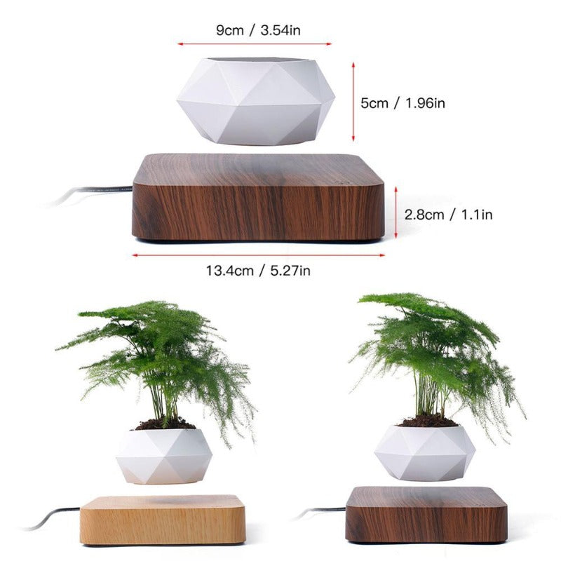Rynx | Air Planter