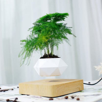 Rynx | Air Planter