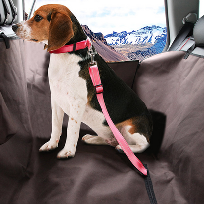 Rynx | Petsafe - Safety belt for your four-legged friend!