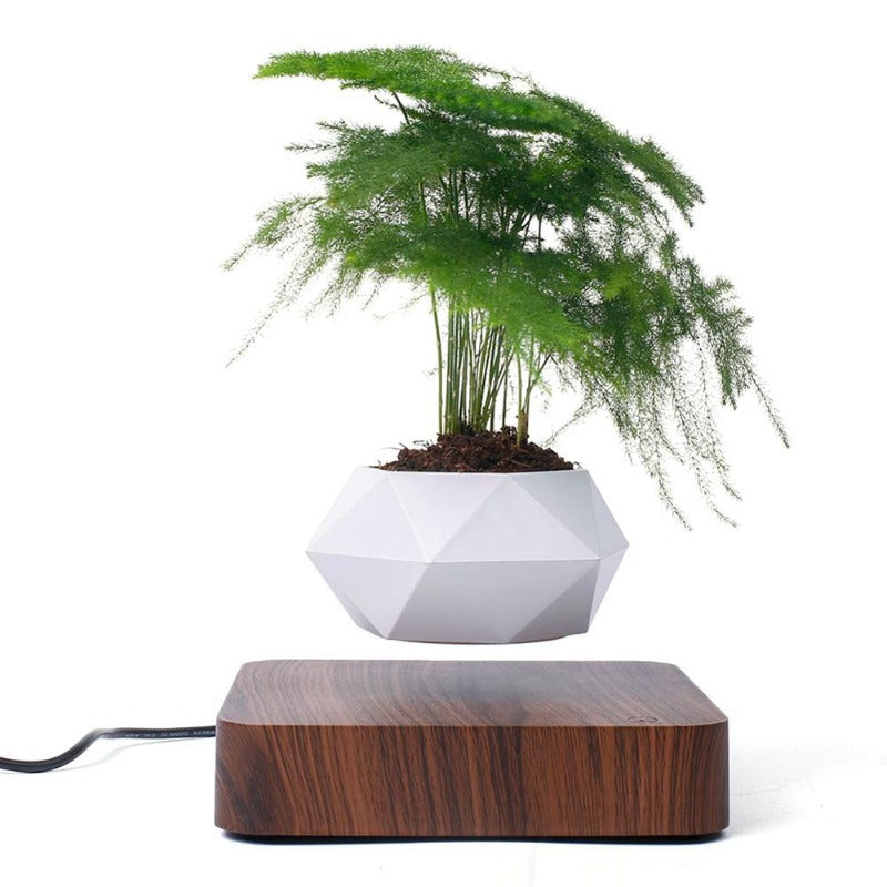 Rynx | Air Planter