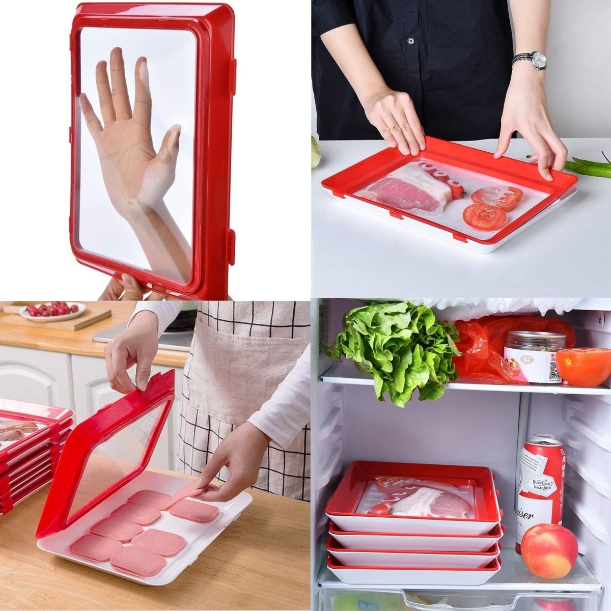 Rynx | Plate - Keep Your Food Fresh - Sustainable Innovation - Practicality in Everyday Life