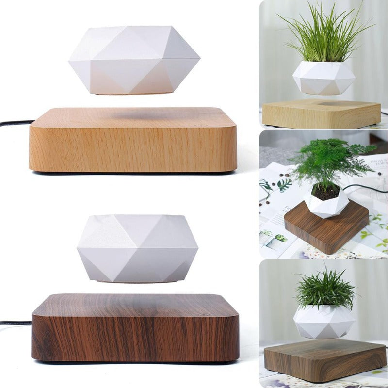 Rynx | Air Planter