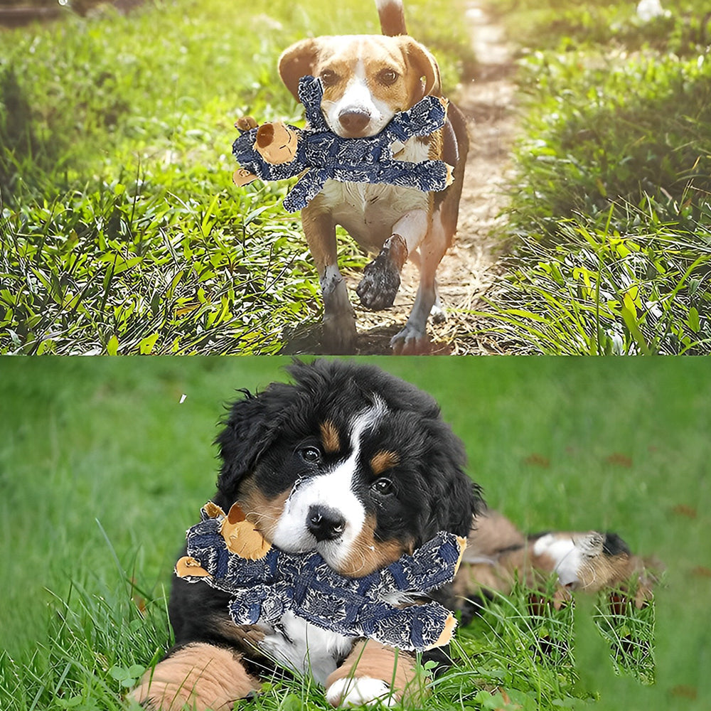 RYNX | Indestructible Robust Bear