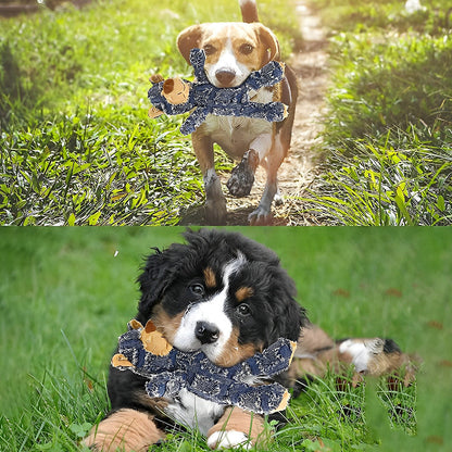 RYNX | Indestructible Robust Bear