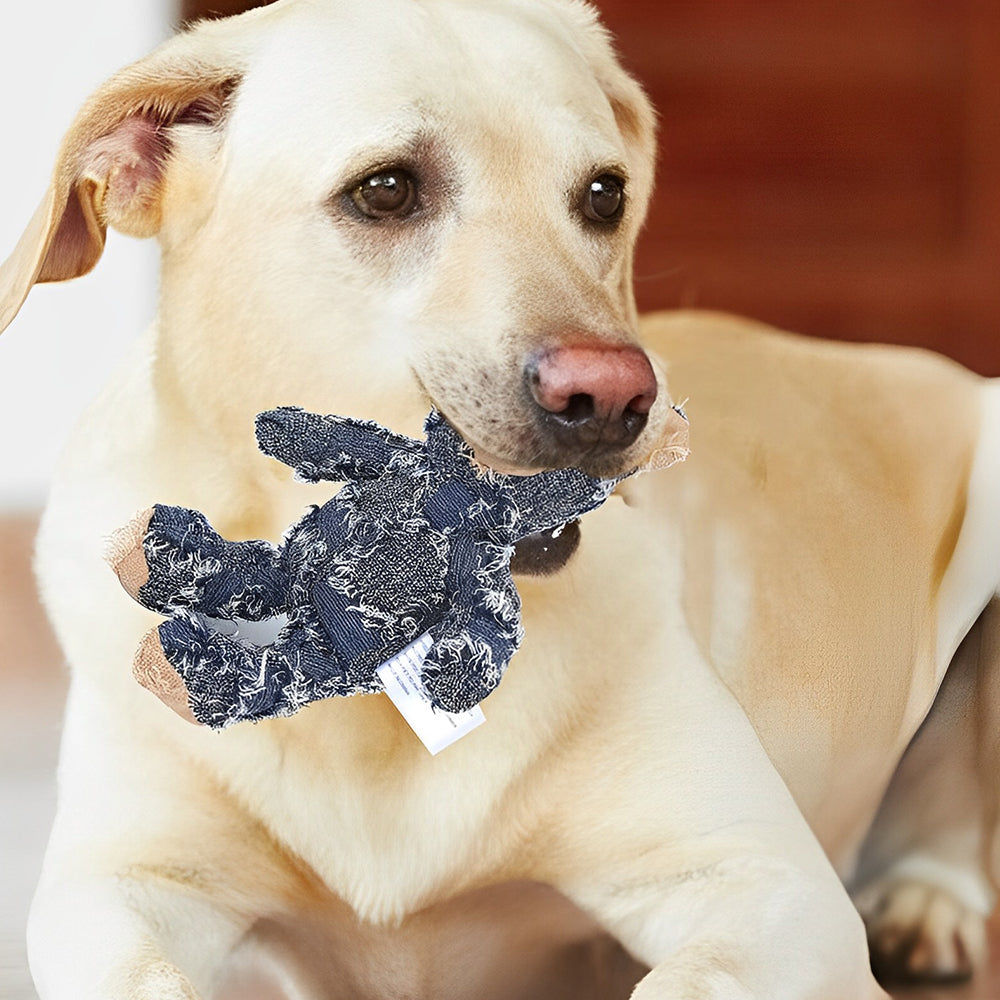 RYNX | Indestructible Robust Bear