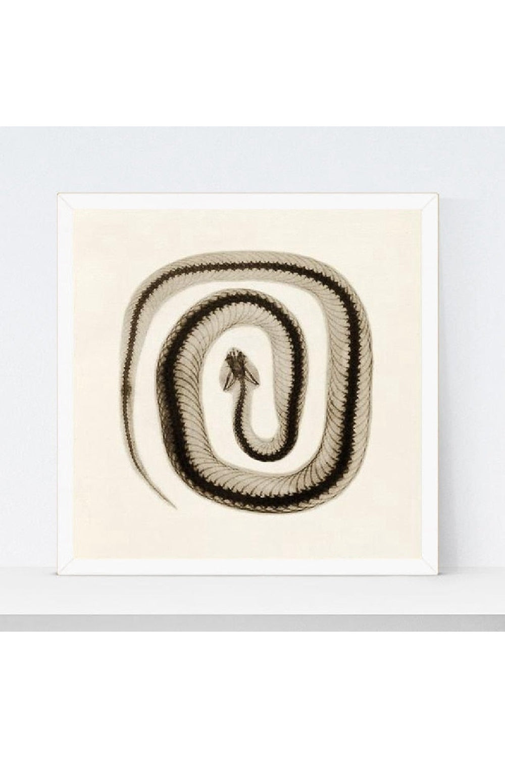 Rynx | toned snake art poster
