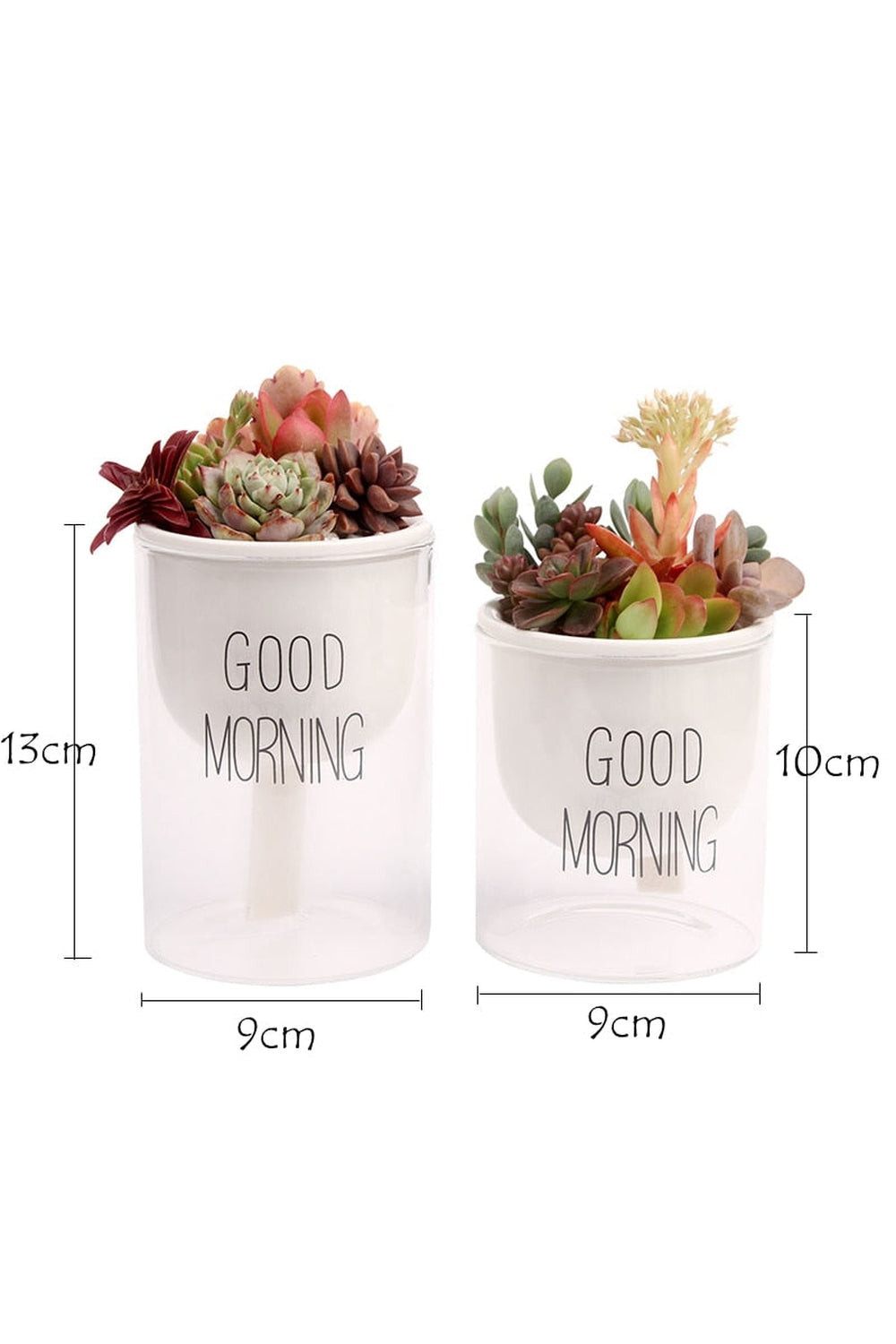 Rynx | Plant Pot Innovation