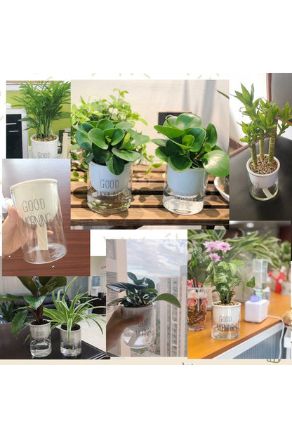 Rynx | Plant Pot Innovation
