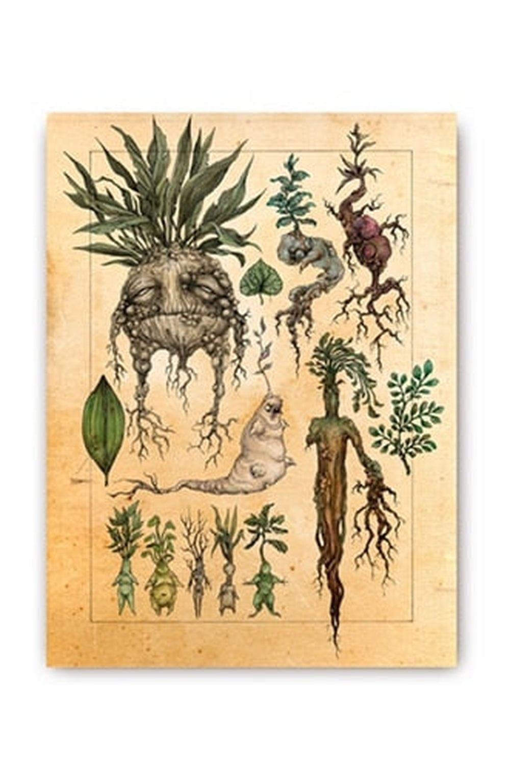 Rynx | Plant Art Poster
