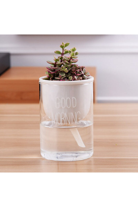 Rynx | Plant Pot Innovation