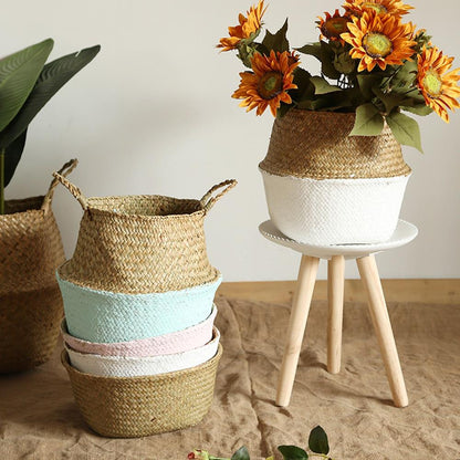 Rynx | Basket