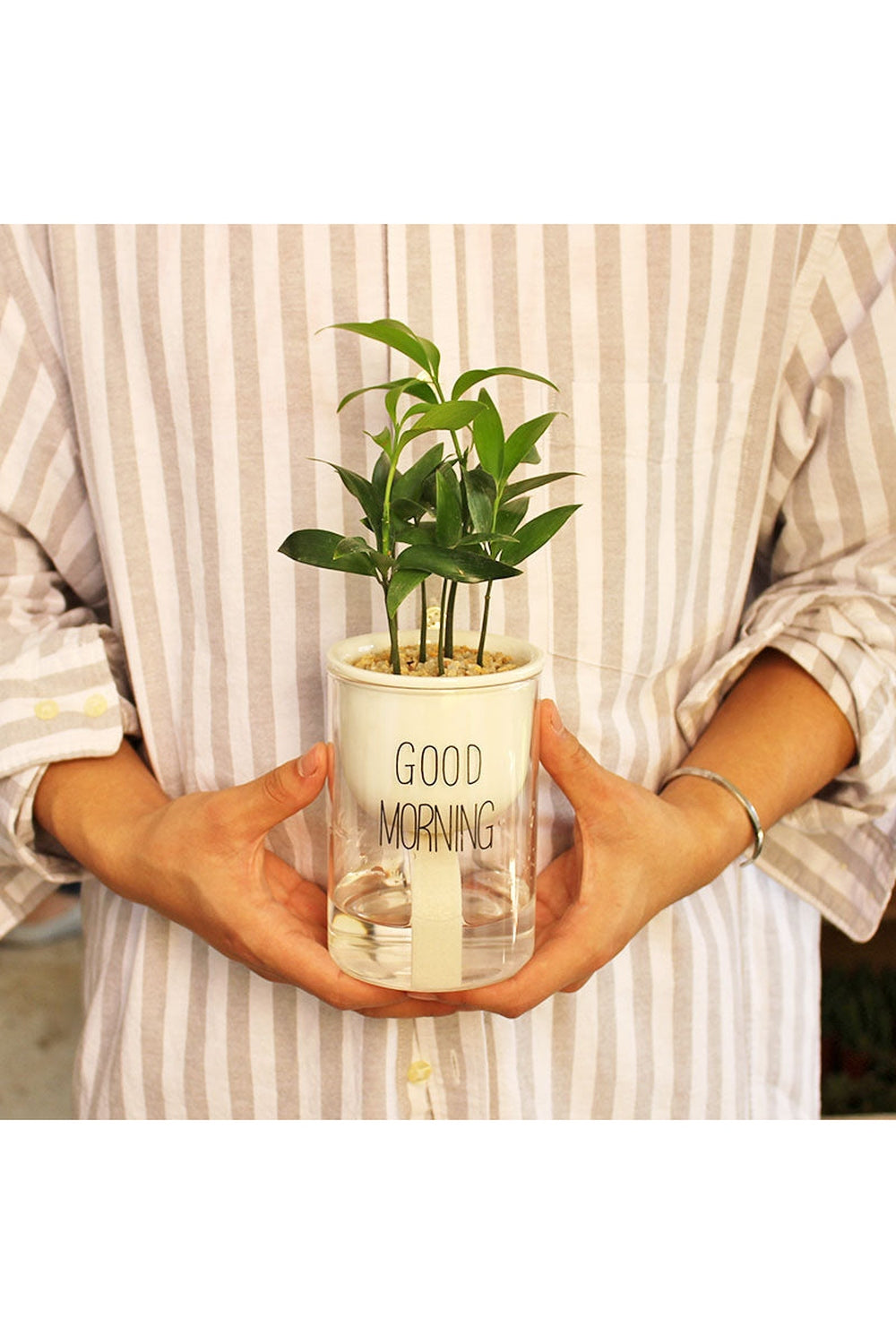Rynx | Plant Pot Innovation