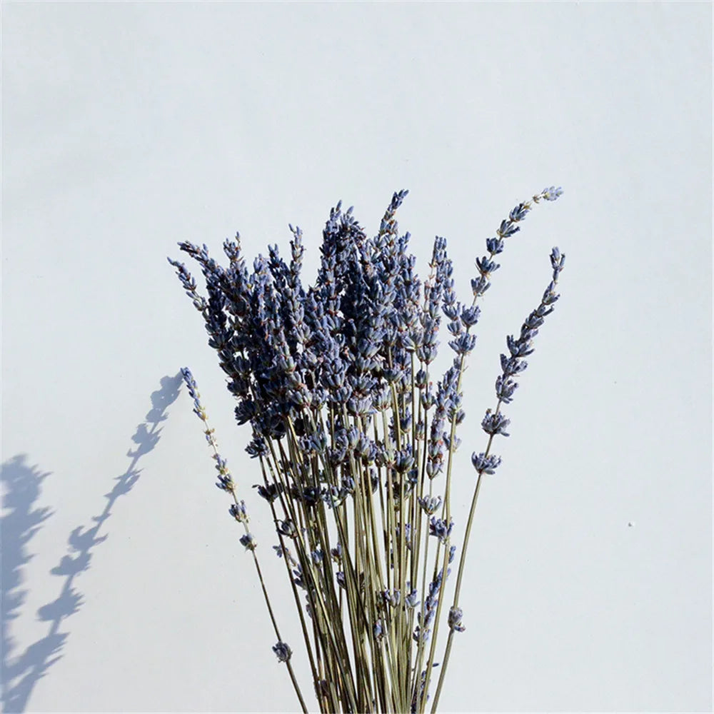 Rynx | LavishBloom Natural Dried Lavender | Fragrant Decoration Bundle | Relaxing Aromatherapy | Sustainable Decoration