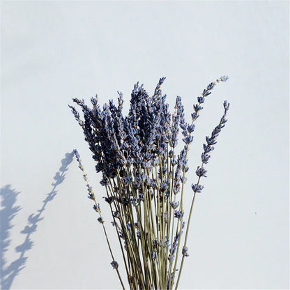 Rynx | LavishBloom Natural Dried Lavender | Fragrant Decoration Bundle | Relaxing Aromatherapy | Sustainable Decoration