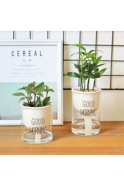 Rynx | Plant Pot Innovation