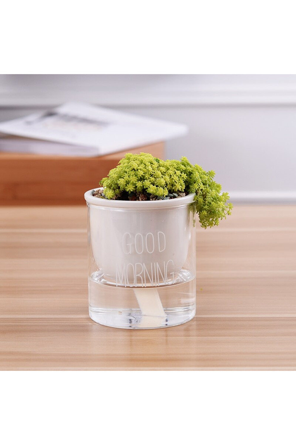 Rynx | Plant Pot Innovation
