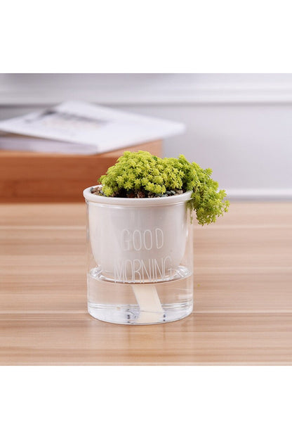 Rynx | Plant Pot Innovation