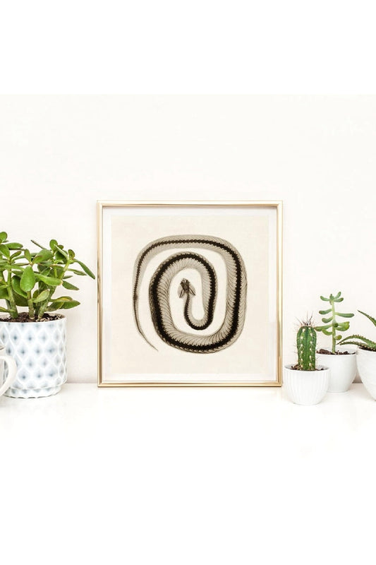 Rynx | toned snake art poster