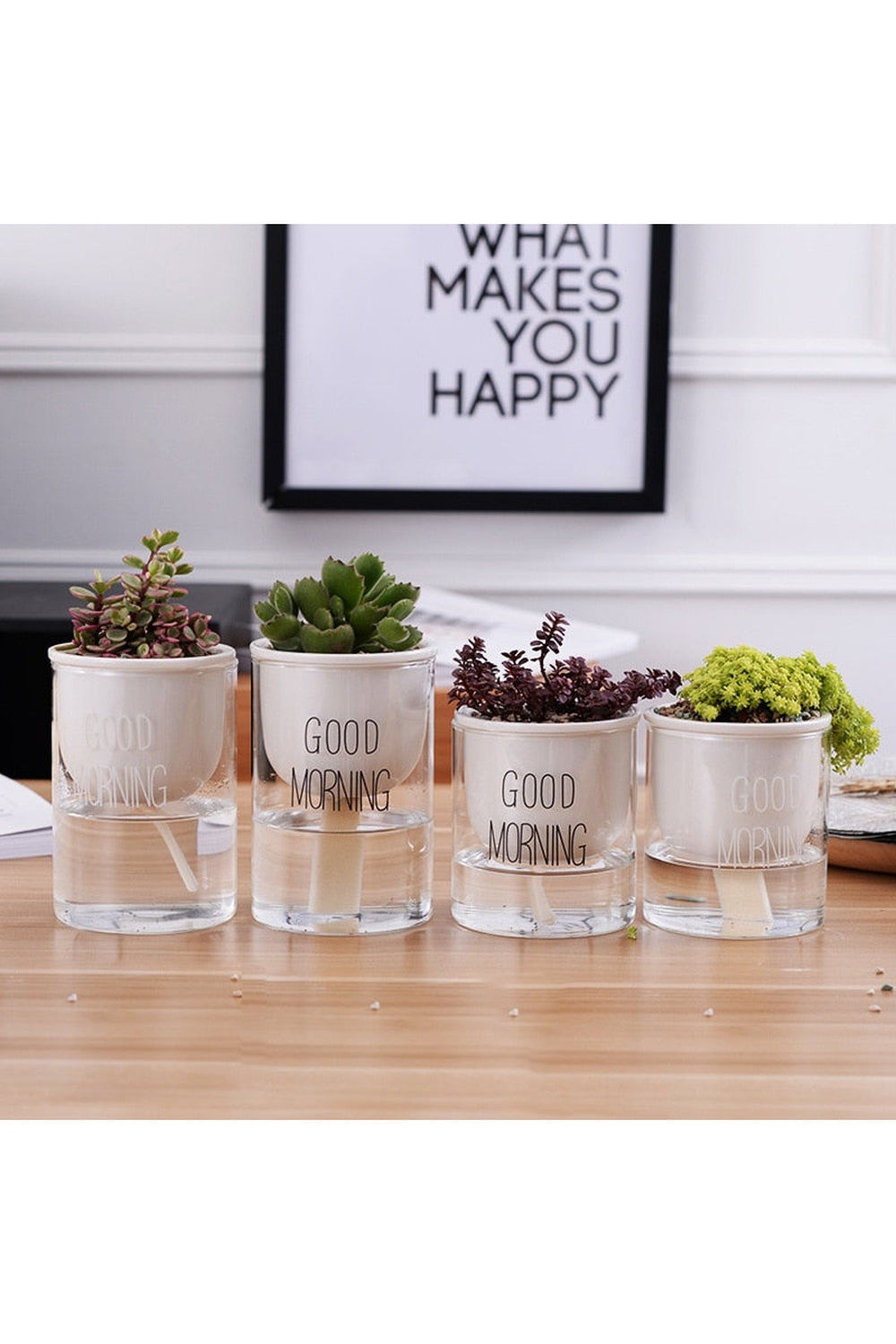 Rynx | Plant Pot Innovation