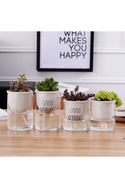 Rynx | Plant Pot Innovation