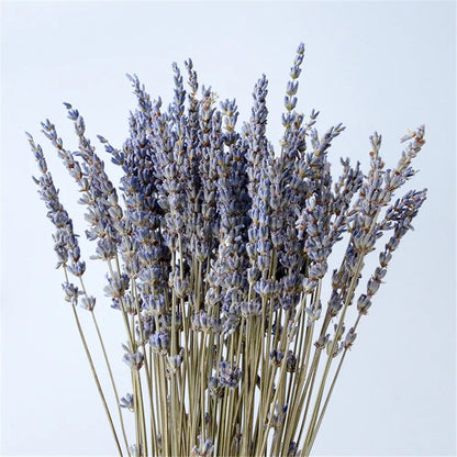 Rynx | LavishBloom Natural Dried Lavender | Fragrant Decoration Bundle | Relaxing Aromatherapy | Sustainable Decoration