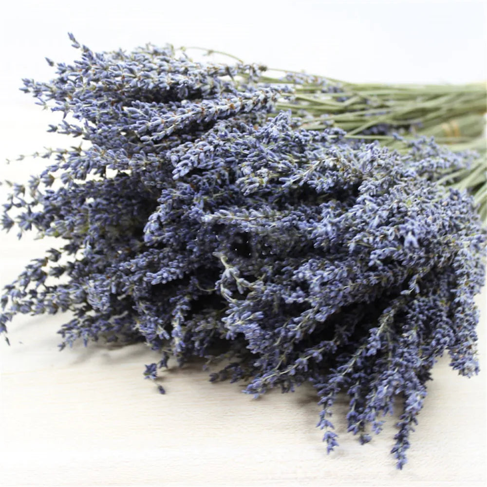 Rynx | LavishBloom Natural Dried Lavender | Fragrant Decoration Bundle | Relaxing Aromatherapy | Sustainable Decoration