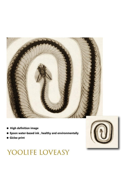 Rynx | toned snake art poster
