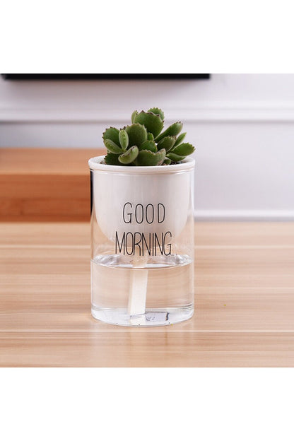 Rynx | Plant Pot Innovation