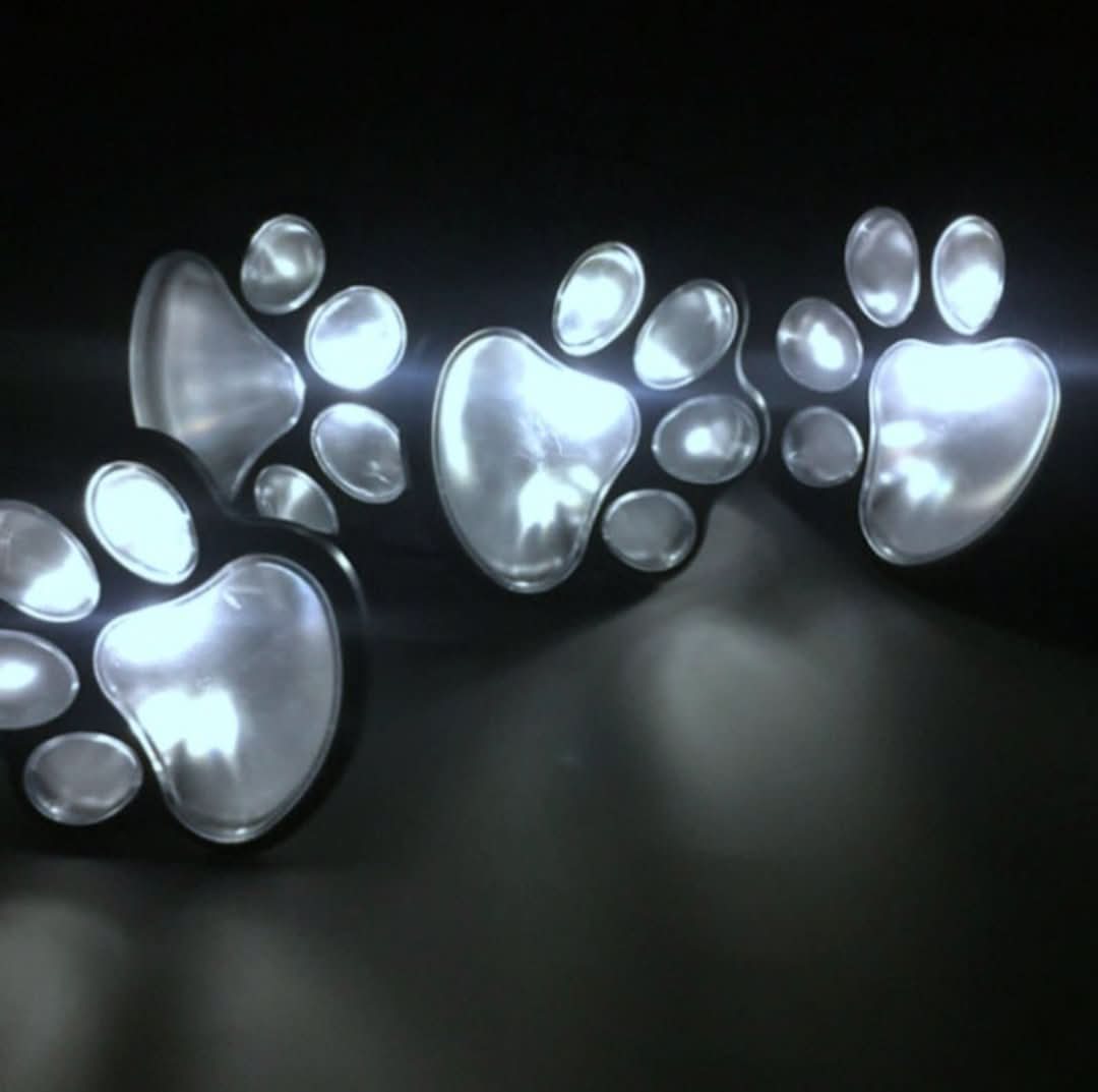 Rynx | Pawlight - Solar Garden Lighting