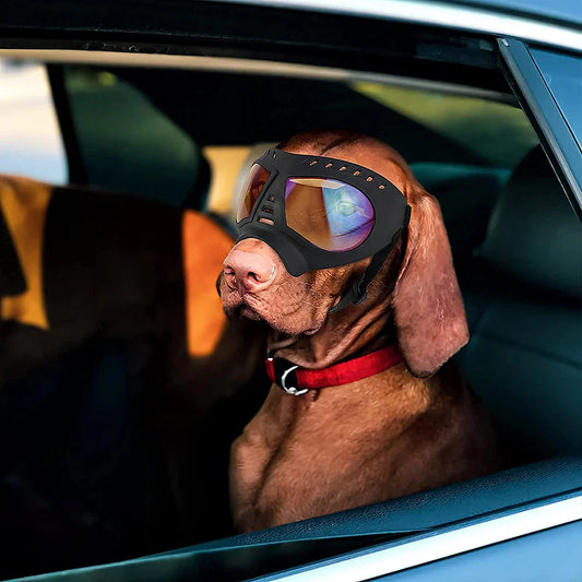 Rynx | Screen Dog Goggles