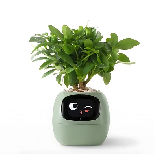 Rynx | GreenBuddy SmartPot - Automatic Smart Planter