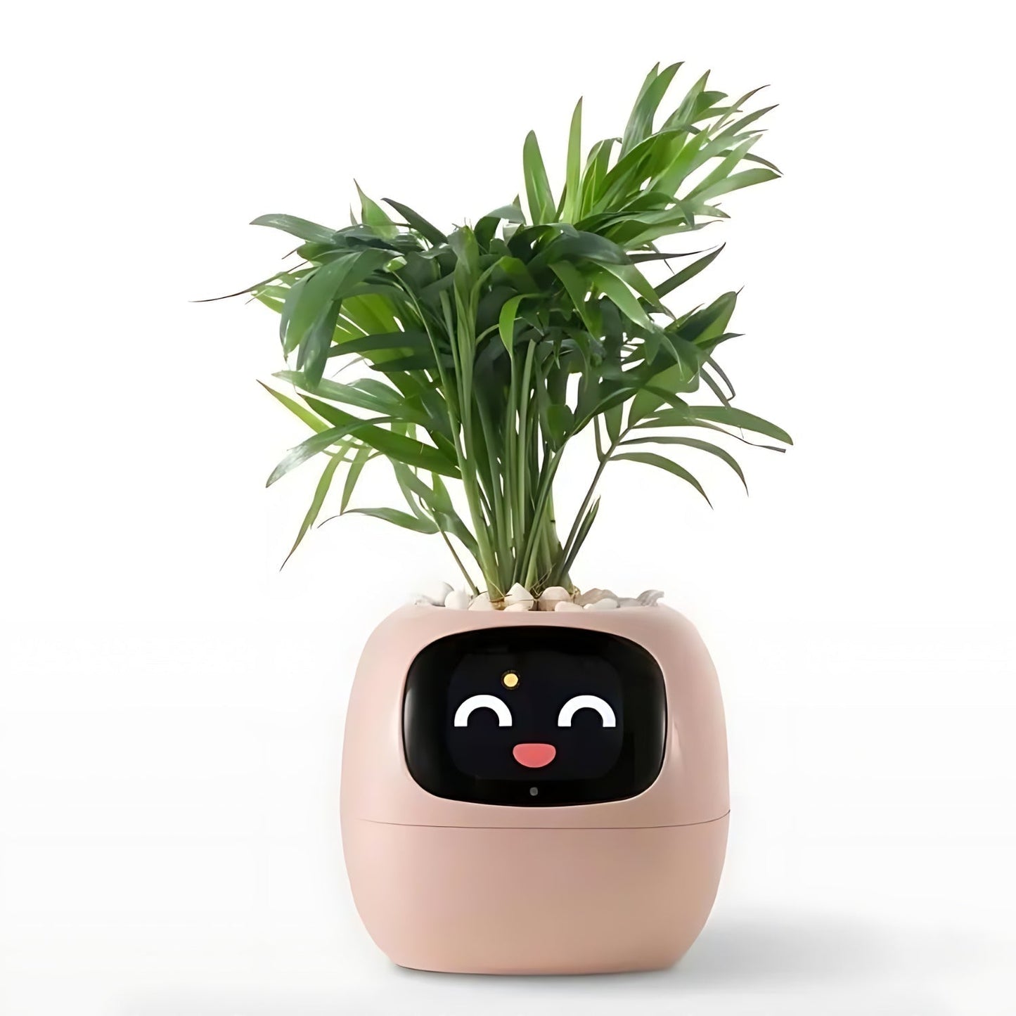 Rynx | GreenBuddy SmartPot - Automatic Smart Planter