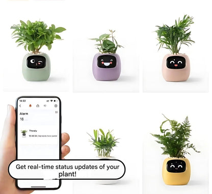 Rynx | GreenBuddy SmartPot - Automatic Smart Planter