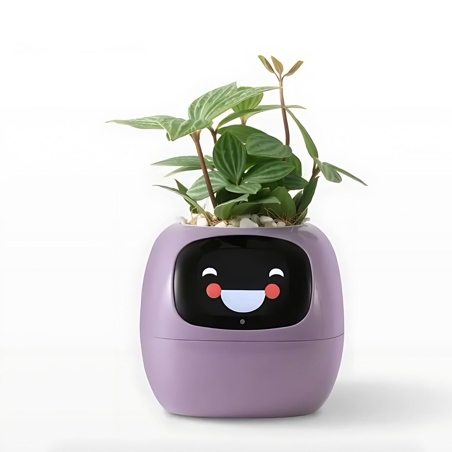 Rynx | GreenBuddy SmartPot - Automatic Smart Planter