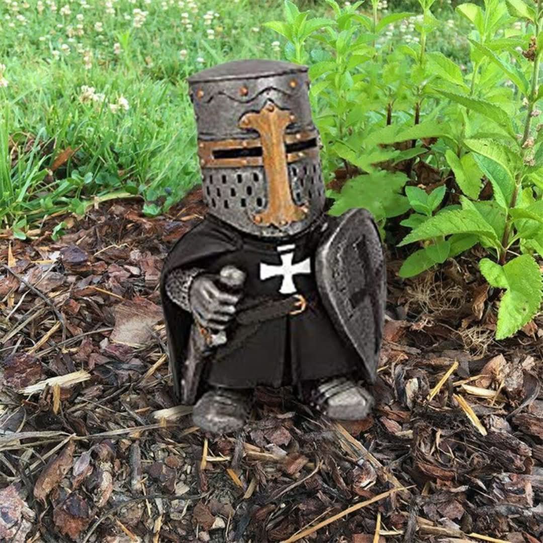 Rynx | Knight Gnomes Guard