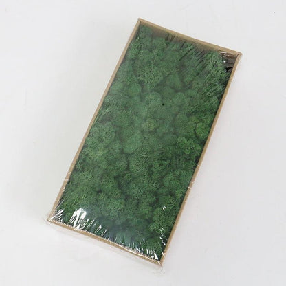 Rynx | Lush Green Moss Wall Art: The Timeless Beauty of Nature