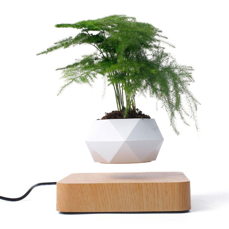 Rynx | Air Planter