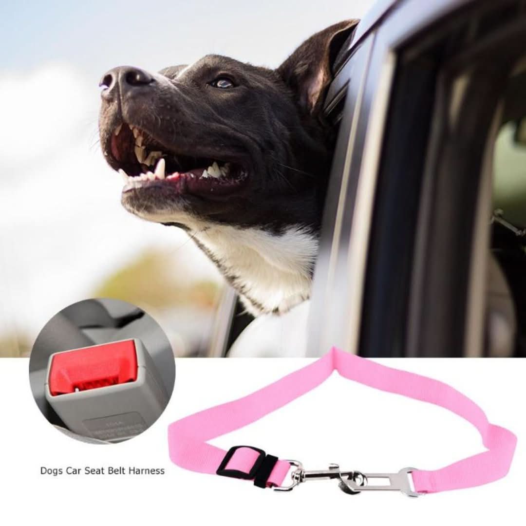 Rynx | Petsafe - Safety belt for your four-legged friend!