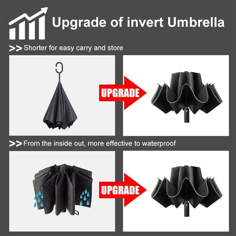 Rynx | Stylish 10-rib Compact Automatic Umbrella - Resilient and Trendy